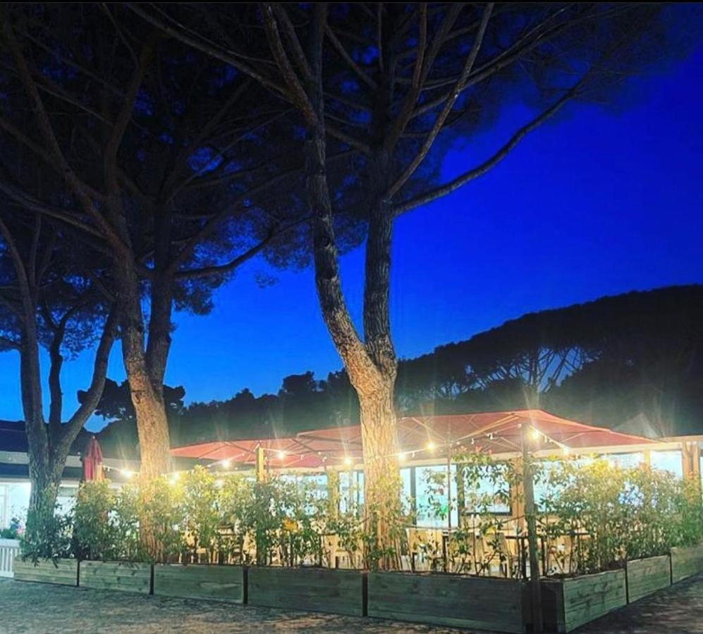 Appartamenti Campeggio Del Forte Marina Di Bibbona Exterior foto